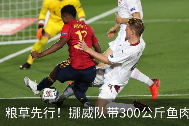 粮草先行！挪威队带300公斤鱼肉+116公斤奶酪赴美踢世界杯